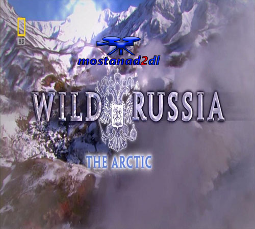 دانلود Wild Russia: The Arctic - مستند دوبله فارسی طبیعت روسیه: قطب شمال
